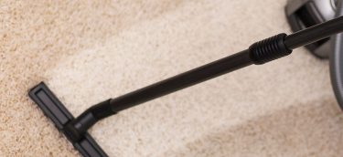 Steam Carpet and Upholstery Cleaning service