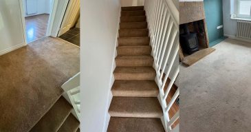 carpet cleaning